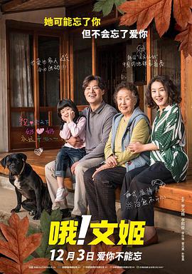 日韩妞干网